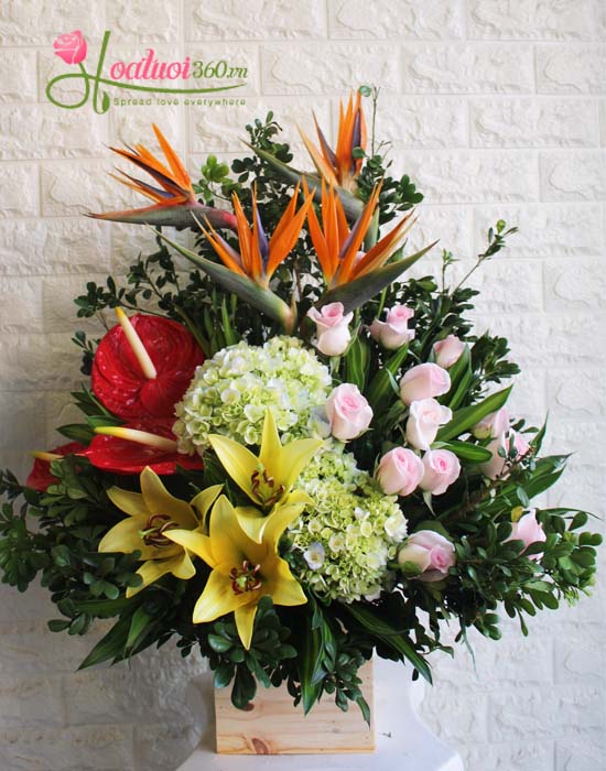 Congratulation flowers - Happy Woman's day